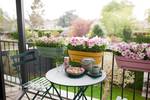 vibia campana trough allin1 50cm dusty pink